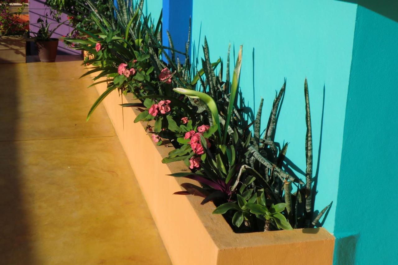 Hotel Arcoiris טולום מראה חיצוני תמונה